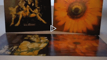 In A Reverie Vinyl GIF by Century Media Records