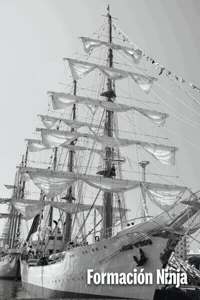 Spain Navy GIF by Formación Ninja
