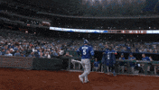 Home Run Baseball GIF by Toronto Blue Jays