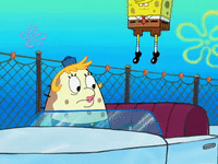 season 8 episode 21 GIF by SpongeBob SquarePants