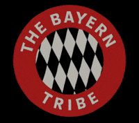 Football Bundesliga GIF