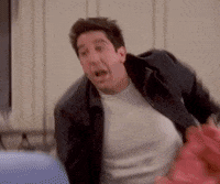 Ross Geller GIF by Friends