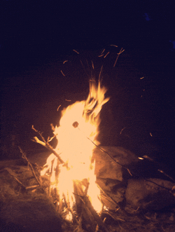 burning camp fire GIF