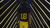 Go Blue Michigan Football GIF by Michigan Athletics