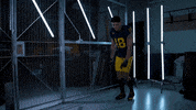 Go Blue Ncaa Football GIF by Michigan Athletics