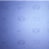 Byu Baseball GIF by BYU Cougars