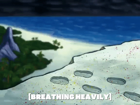 season 6 GIF by SpongeBob SquarePants