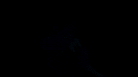 Dark GIF by Miqan