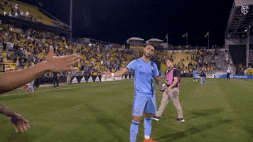 Mls Heber GIF by NYCFC