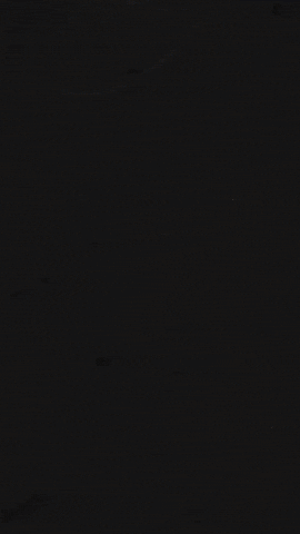 West Brom Price GIF by West Bromwich Albion