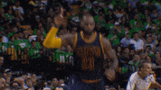 Nba Playoffs History GIF by NBA