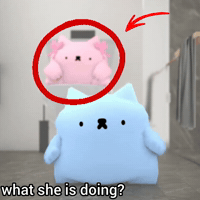 Spainnubcat GIF