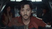 Cassian Andor GIF by Star Wars