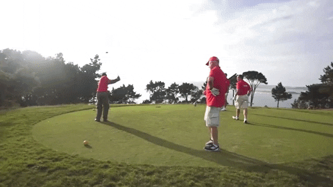 Palibex giphyupload golf deporte pale GIF