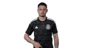 mexico national team football Sticker by MiSelecciónMX