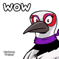 Look Wow Sticker by VeeFriends