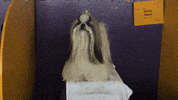 wkc GIF by Westminster Kennel Club