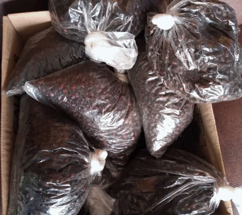 erivancamposconde giphygifmaker GIF