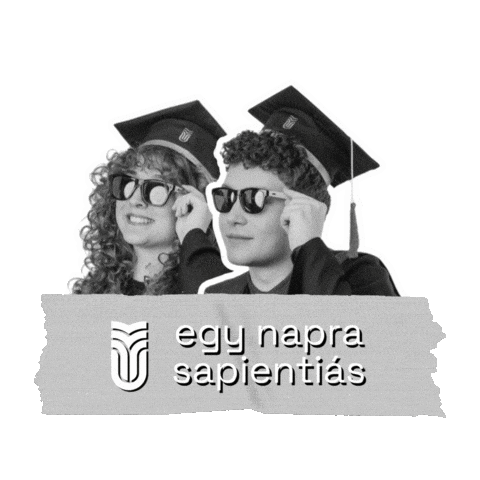 Sapientia Sticker by Gödri Csilla