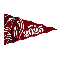 Grad Usc Sticker by University of South Carolina