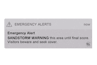 Sand Storm Gamecocks Sticker by Gamecock Athletics