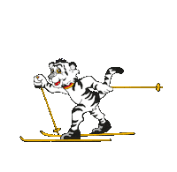 DeutscherSkiverband race tiger worldcup cross country Sticker