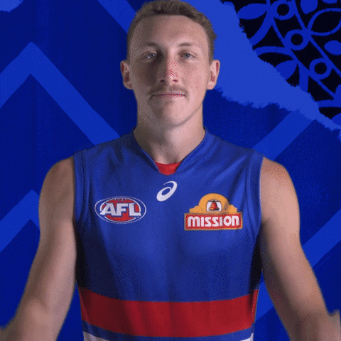 Aussie Rules Football Dogs GIF by Western Bulldogs