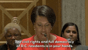 Dc Statehood GIF by GIPHY News
