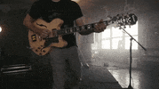a great big pile of leaves snack attack GIF by Topshelf Records