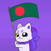 Flag Bangladesh GIF by Lucky Kat Studios