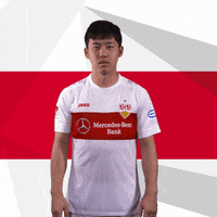 Oh My God Omg GIF by VfB Stuttgart