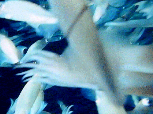 Talk Talk 80S GIF