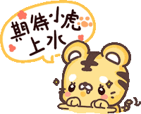 tigeryaungoyin tiger mirrorhk tigeryau tigeryny Sticker