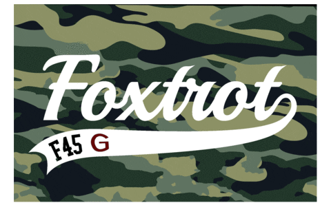 Fox Foxtrot GIF by f45gangnam