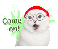 come on cat Sticker