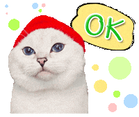 cat ok Sticker