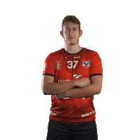 Handball Sticker by Hazena Nove Veseli