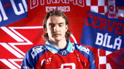 Hockeytown GIF by HC Dynamo Pardubice