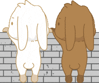 Bunny GIF by EVANS艾特兔