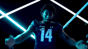 Old Dominion Sport GIF by ODU Football