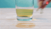 Happy Summer GIF by BuzzFeed