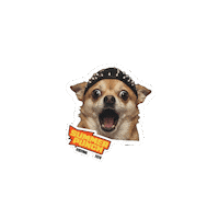 Excited Party Sticker by WiniaryBookings