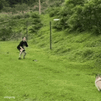 Catch Get GIF