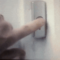 GIF by The Telegraph