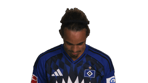 Look Up Hamburger Sv Sticker by Bundesliga