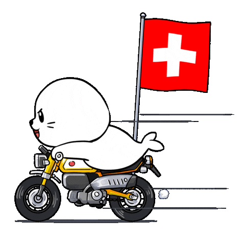 Lets Go Football Sticker by Sappy Seals
