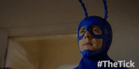 season 1 episode 10 GIF by The Tick