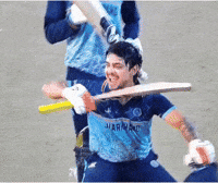 Sunrisers Hyderabad Ipl GIF