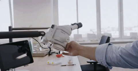 giphyupload GIF