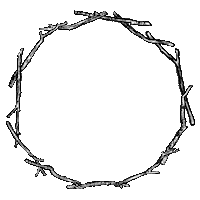 Thorn Sticker by Shop Dixi